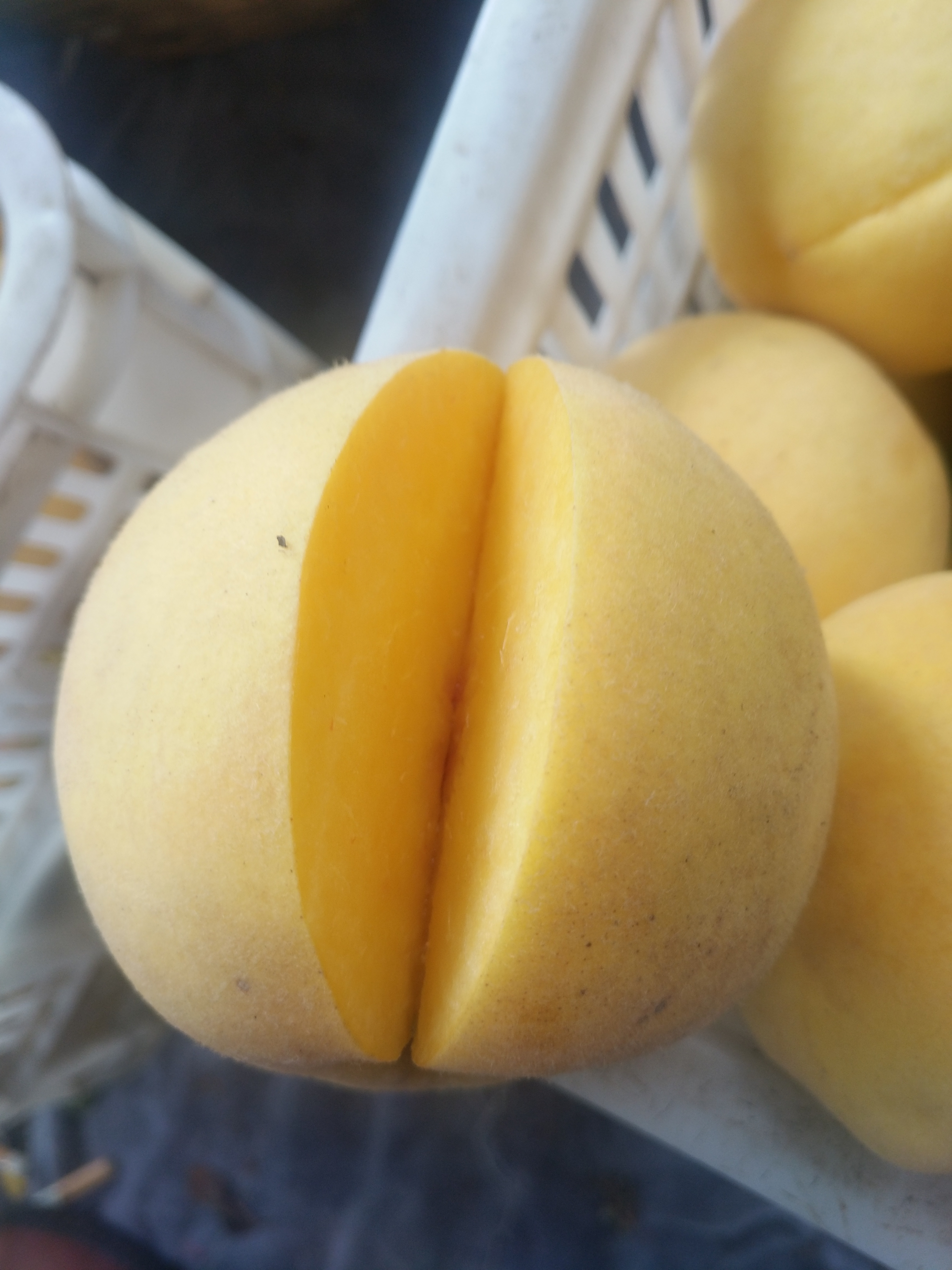 枣阳甜黄桃 黄金蜜1号 水蜜桃 应季水果